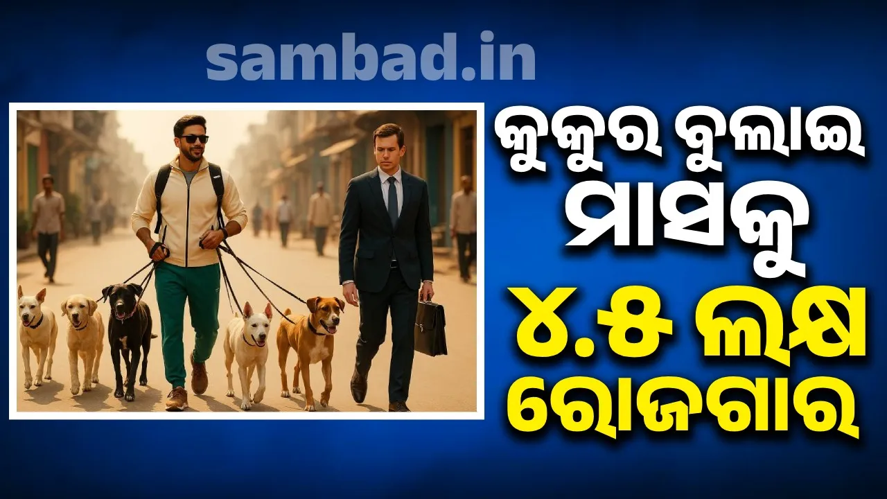 Earning 4.5 lakhs per month by walking dogs Photograph: (sambad.in) 