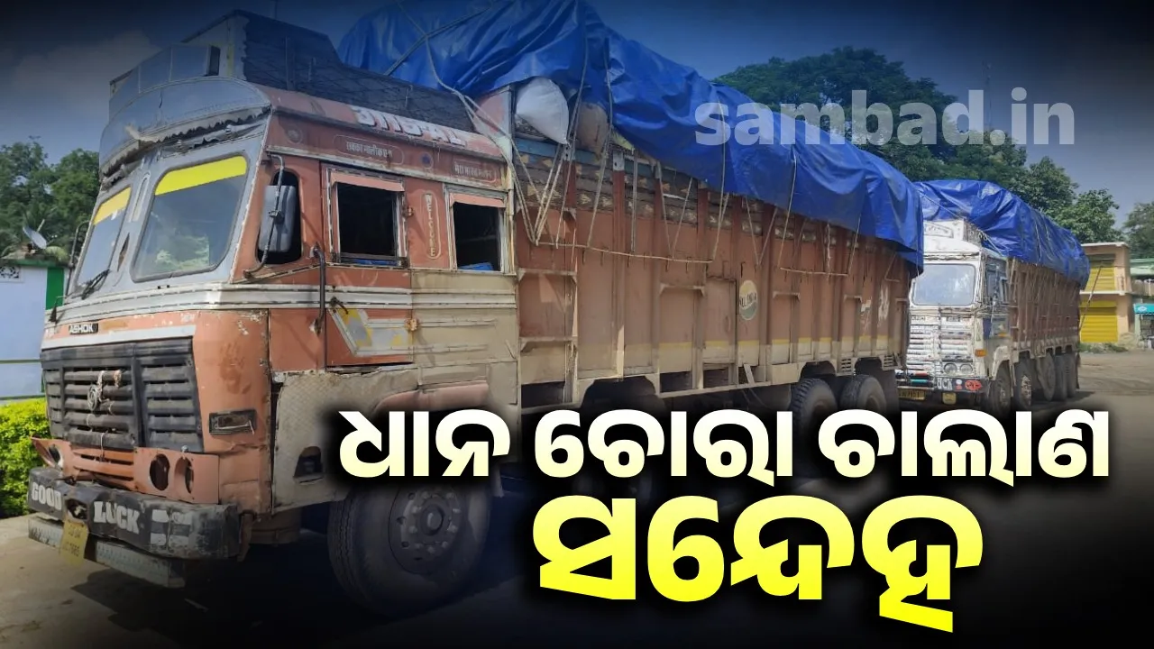  2 trucks loaded with paddy stopped Photograph: (sambad.in) 