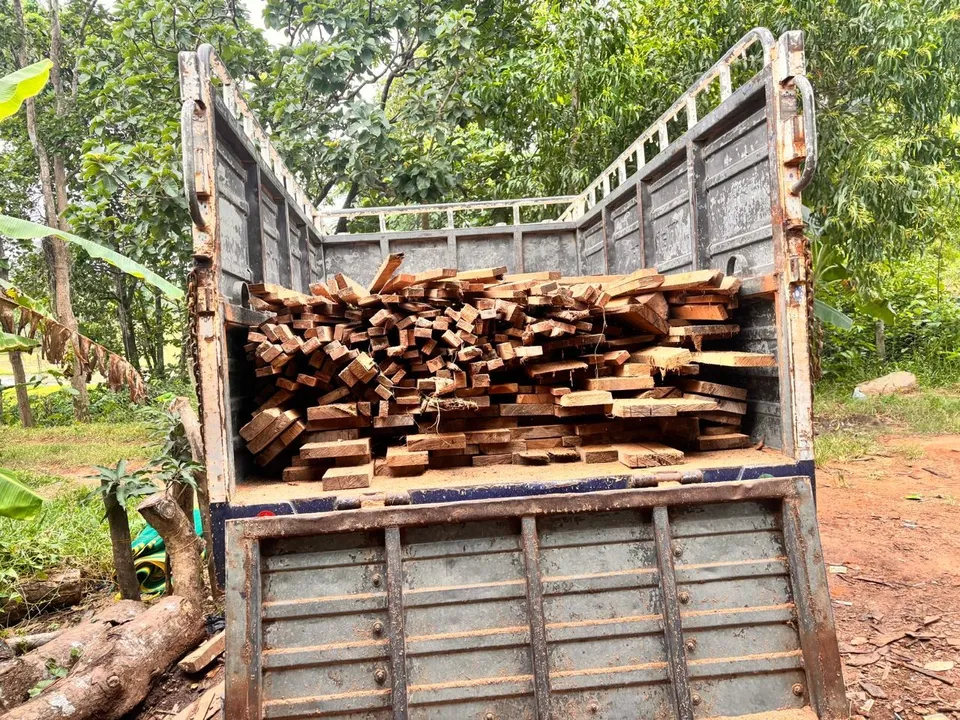  କପ୍ତିପଦାରେ ଭିଜିଲାନ୍ସ ଚଢ଼ାଉ:  ୨୨ ଲକ୍ଷ ଟଙ୍କା ମୂଲ୍ୟର ବେଆଇନ ମୋବାଇଲ୍ କରତକଳ ୟୁନିଟ୍‌ ଏବଂ ମୂଲ୍ୟବାନ କାଠ ଜବତ