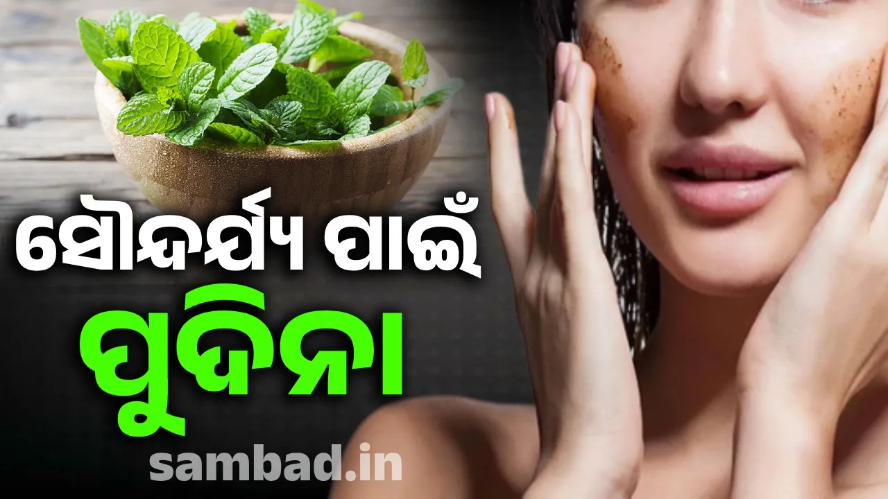  କେବଳ ଶରୀର ପାଇଁ ନୁହେଁ; ସୌନ୍ଦର୍ଯ୍ୟ ପାଇଁ ବି ବହୁ ଉପକାରୀ ପୁୁଦିନା ପତ୍ର