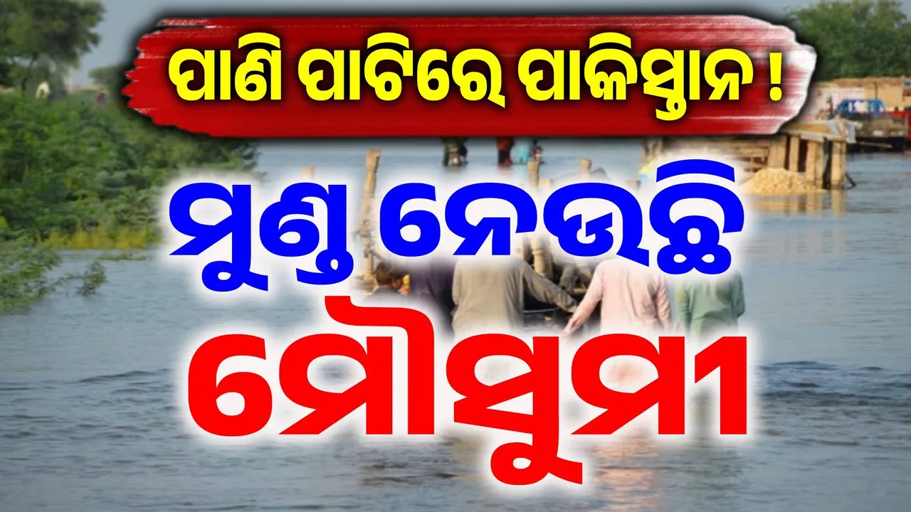 ପାକିସ୍ତାନରେ ଜଳ ପ୍ରଳୟ: ମୌସୁମୀ ବର୍ଷାରେ ମାସକରେ ଗଲାଣି ୨୧୬ ଜଣଙ୍କ ଜୀବନ