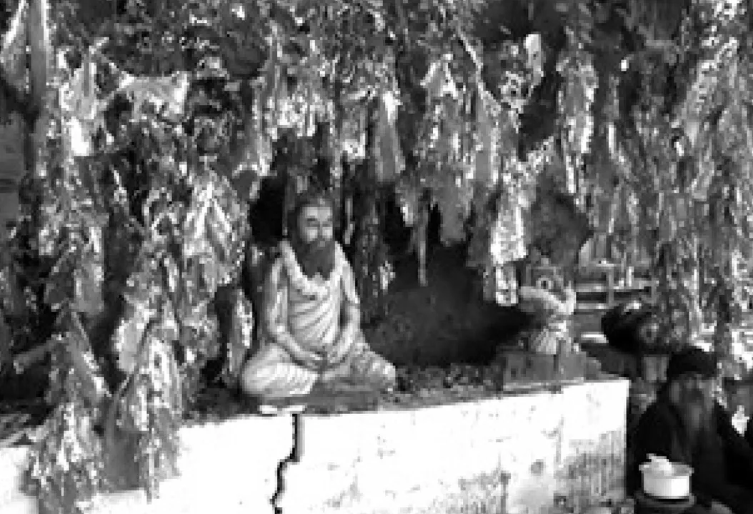  ସୁରଞ୍ଜନଙ୍କ ଡାଏରି: ଓଳାଶୁଣୀ ପାହାଡ଼ରେ ବର୍ଷାର ବଳାକା