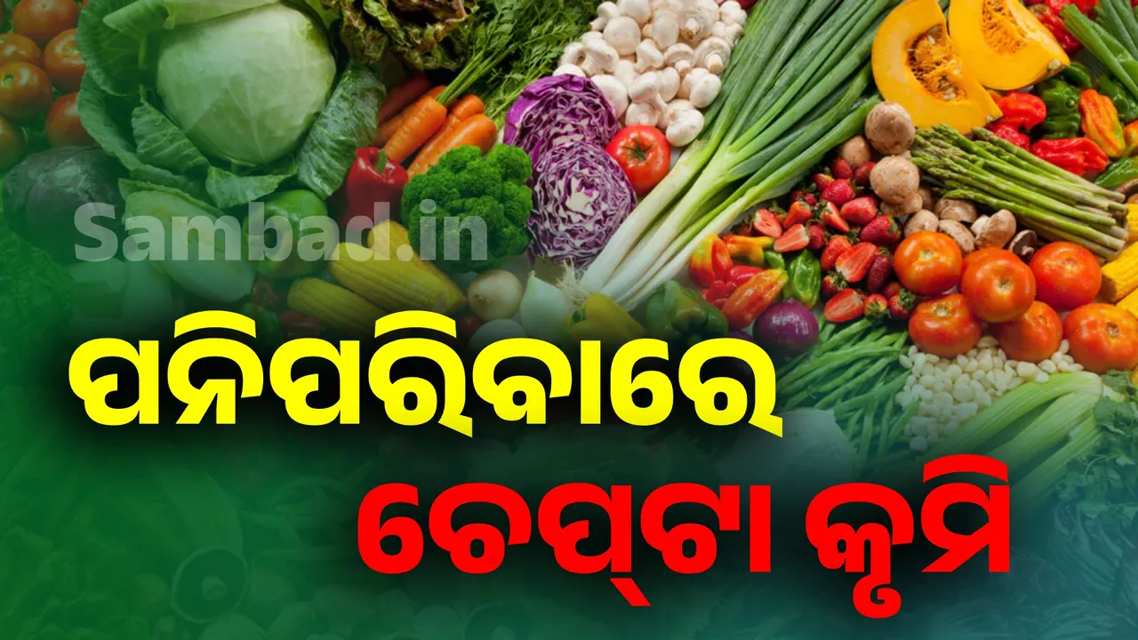  ପନିପରିବାରେ ଚେପ୍‌ଟା କୃମି