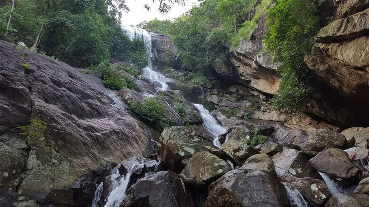  Photograph: (Tripadvisor) 