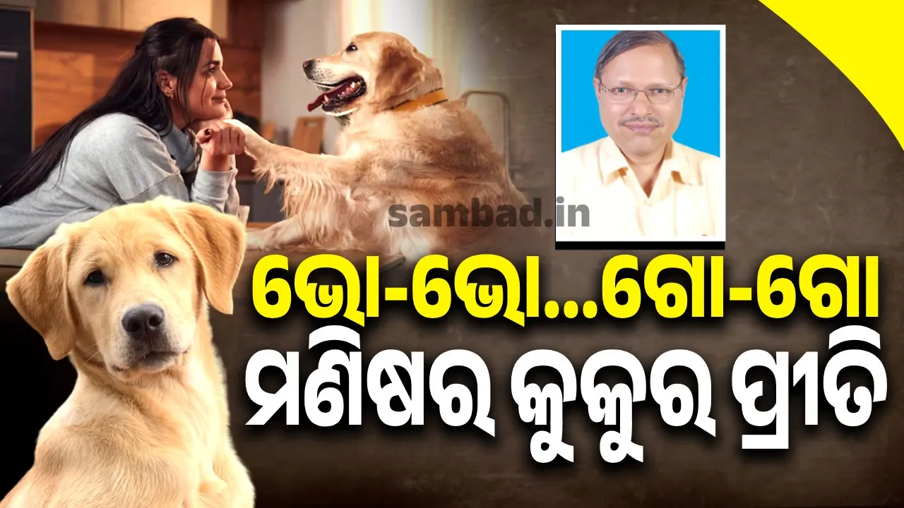  ଫ୍ୟାସନର ନାଁ 'କୁକୁର ପ୍ରୀତି', ପାଳିଲେ ହେବ ଏମିତି... ଜାଣନ୍ତୁ କୁକୁର ପାଳିଲେ କଣ ହେବ ?