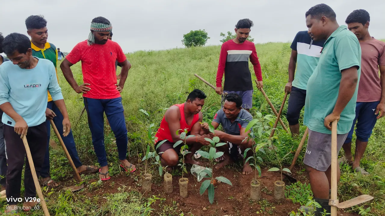  ପାଞ୍ଚ ଶହ ଚାରା ରୋପଣ କଲେ ମୁଣ୍ଡାଗୁଡ଼ା ଗ୍ରାମବାସୀ