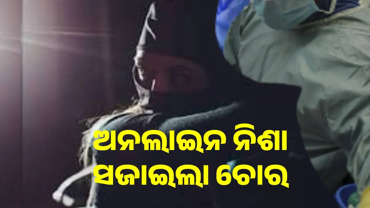  ଅନଲାଇନ ଖେଳ ନିଶା କଲେଜ ଉପାଧ୍ୟକ୍ଷଙ୍କୁ ସଜାଇଲା ଚୋର
