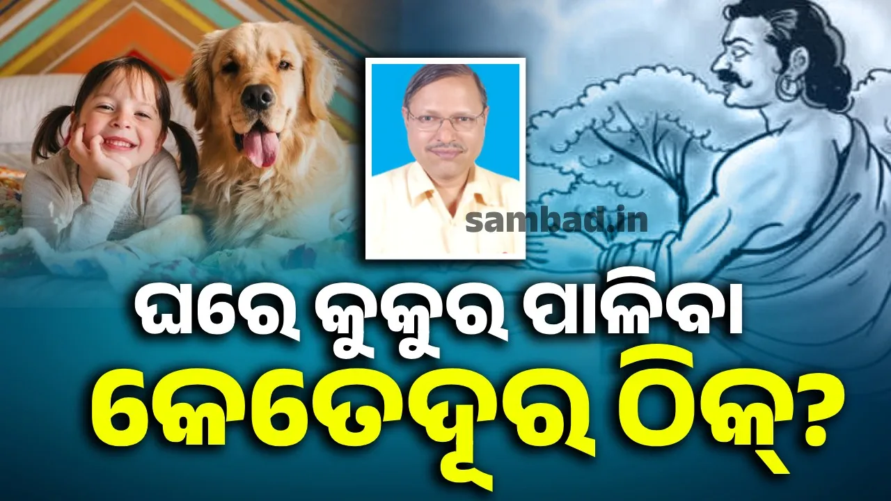  ଯୁଧିଷ୍ଠିର ଓ କୁକୁର ଉପାଖ୍ୟାନ: ଘରେ କୁକୁର ପାଳିବା କେତେଦୂର ଠିକ୍