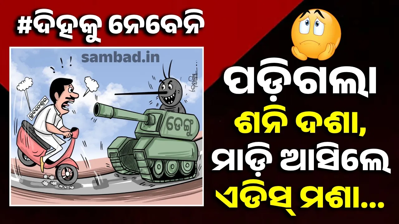  ରାଜଧାନୀରେ ମାତିଛନ୍ତି ଏଡିସ୍‌ ମଶା, ତା’ ସାଙ୍ଗକୁ ଦାଉ ସାଧୁଛି ଲଗାଣ ବର୍ଷା