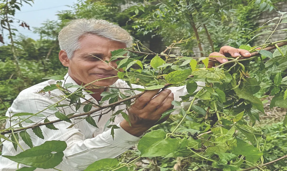  ପରିବେଶ ଯୋଦ୍ଧା: ଦେଶୀ ନିମ ସୁରକ୍ଷାରେ ସମର୍ପିତ ଚିତ୍ତରଞ୍ଜନ