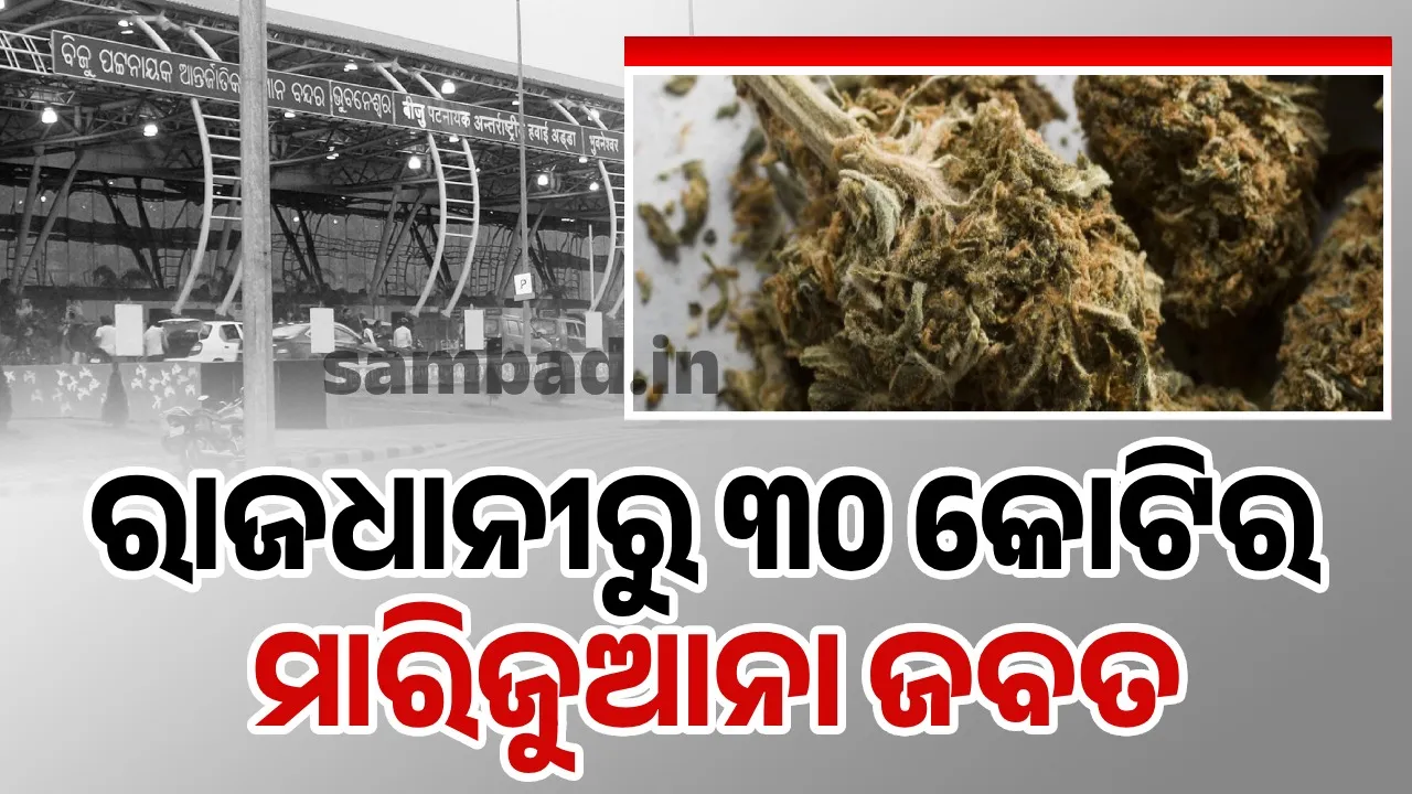  ଭୁବନେଶ୍ୱର ବିମାନବନ୍ଦରରୁ ମିଳିଲା ୩୦ କୋଟିର ମାରିଜୁଆନା, ୩ ଅଟକ