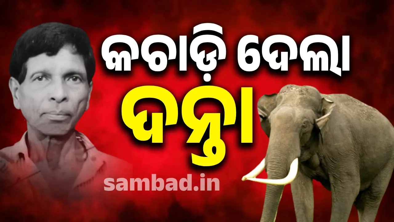  କନ୍ଧମାଳରେ ହାତୀ ଉତ୍ପାତ: ଆଉ ଜଣଙ୍କର ନେଲା ଜୀବନ, ଲୋକେ ଭୟଭୀତ
