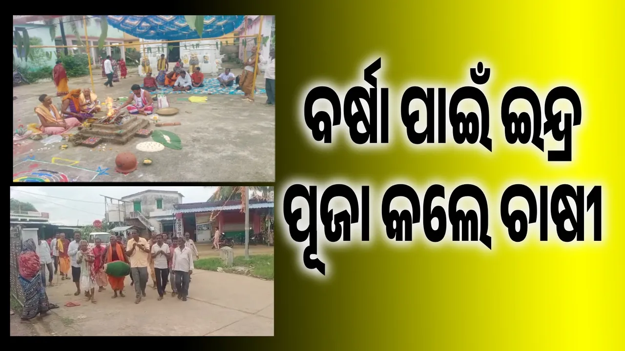  ଫସଲ ପାଇଁ ଚାଷୀ ବିକଳ:  ଭଲ ବର୍ଷା ନହେବା ଯୋଗୁ କଲେ ଇନ୍ଦ୍ର ପୂଜା