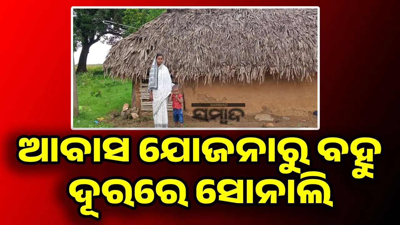  ଆବାସ ଯୋଜନାରୁ ବହୁ ଦୂରରେ ସୋନାଲି