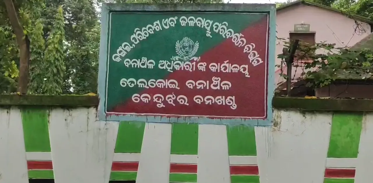  ବୃଦ୍ଧାଙ୍କୁ ଶୁଣ୍ଢରେ ଟାଣି ନେଇ କଚାଡ଼ି ମାରିଲା ହାତୀ
