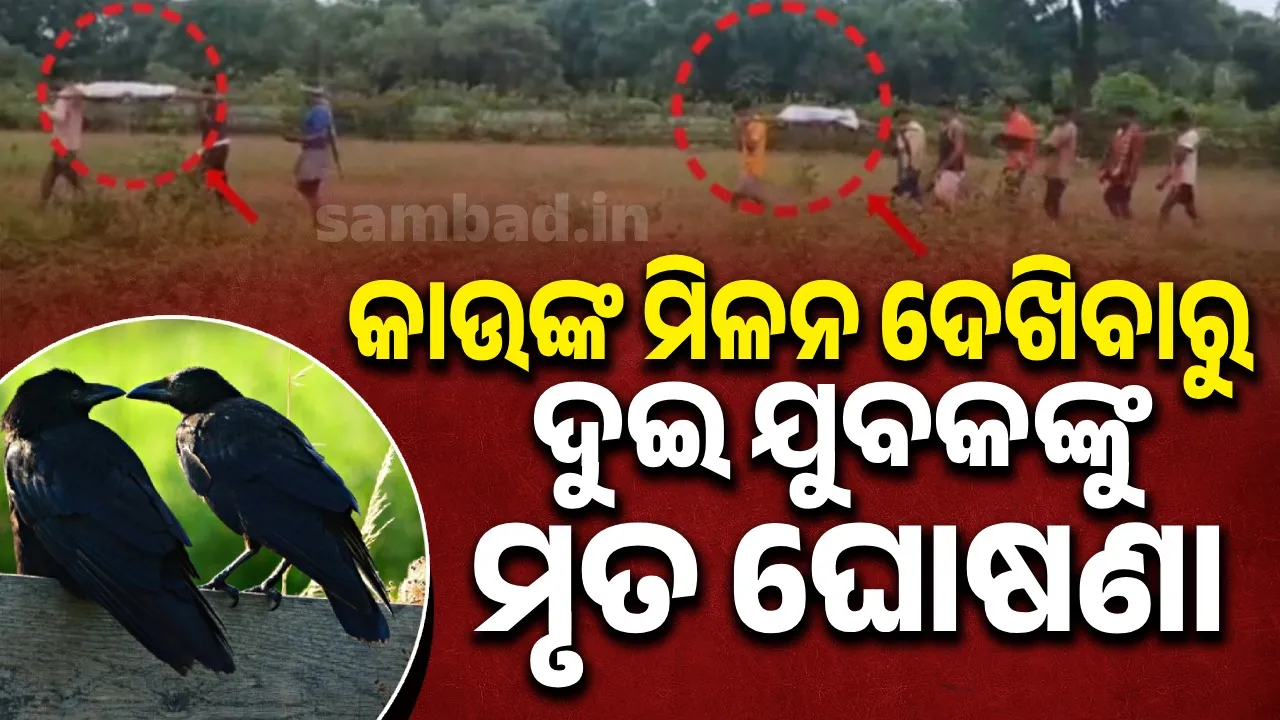 କାଉଙ୍କ ମିଳନ ଦେଖିବାରୁ ଦୁଇ ଯୁବକଙ୍କୁ ମୃତ ଘୋଷଣା କଲେ ଆଦିବାସୀ ସମାଜ