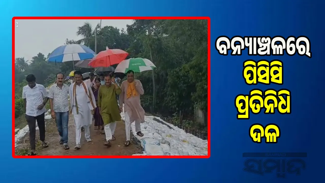  PCC delegation visits flood-hit areas Photograph: (sambad.in) 