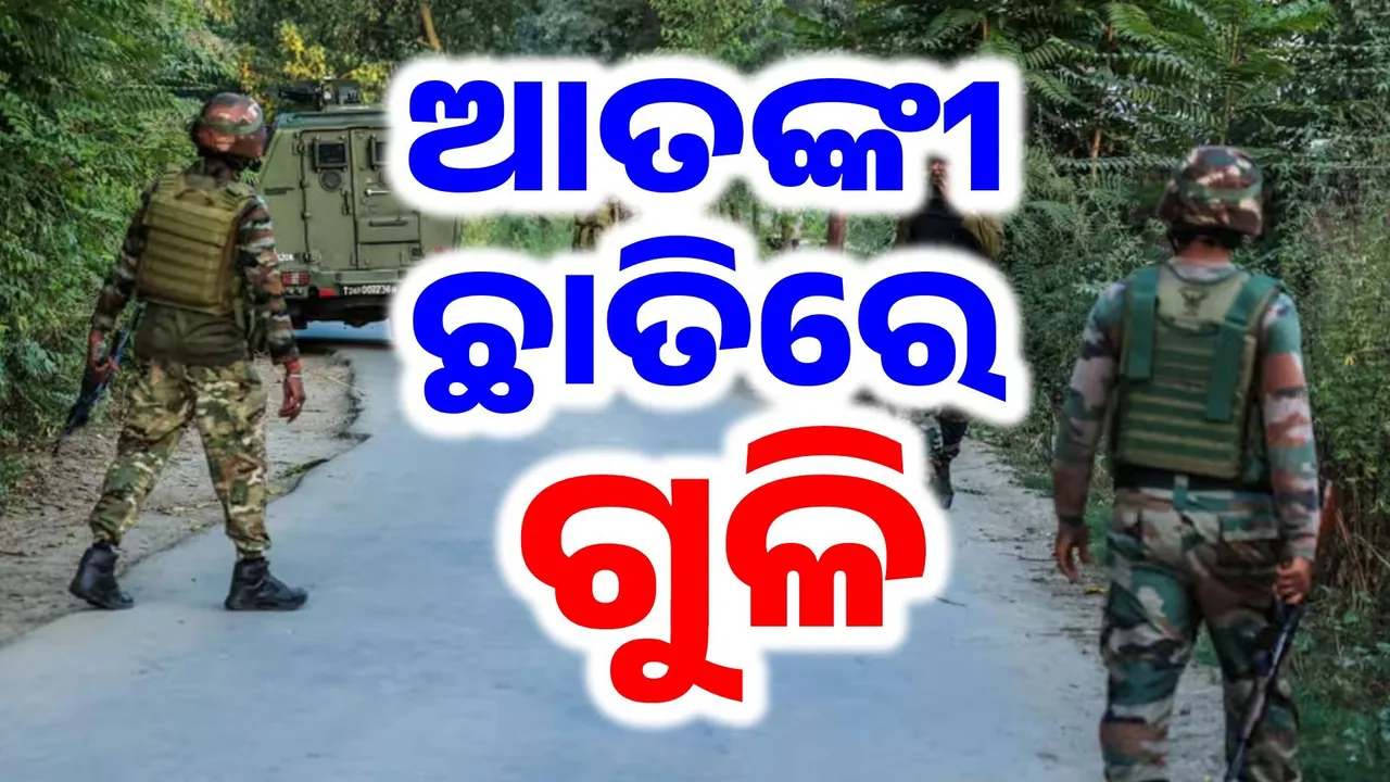  ସେନାକୁ ସଫଳତା: ଗୁଳିରେ ଟଳିଲା ଜଣେ, ଧରାପଡ଼ିଲେ ୨ ଆତଙ୍କବାଦୀ