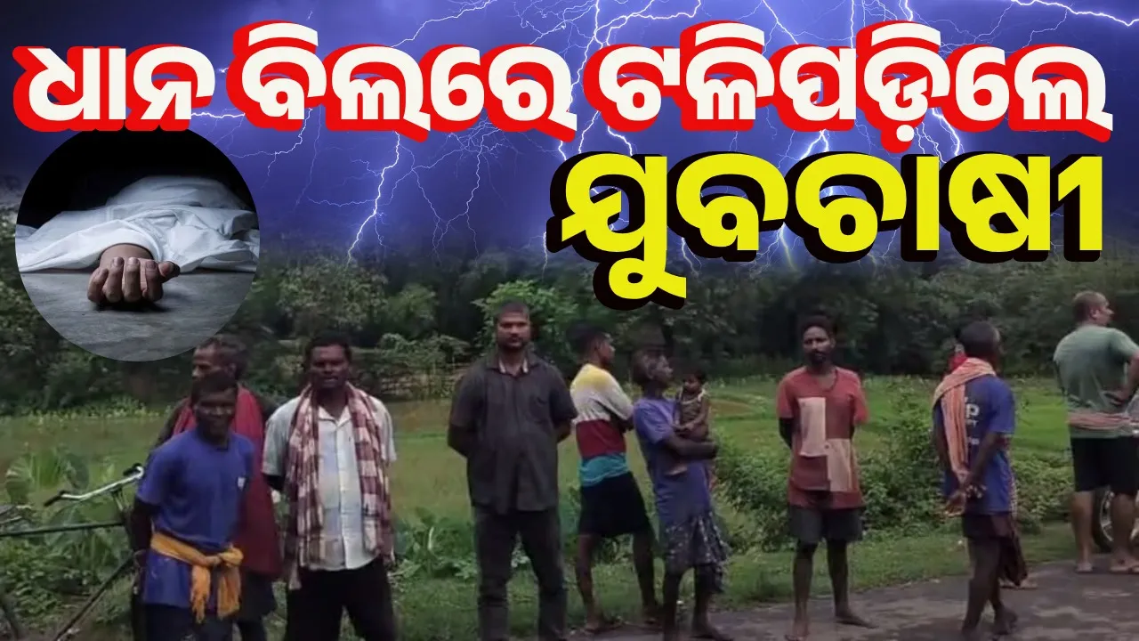  ବିଲରେ ଧାନ ରୋଉଥିବା ବେଳେ ବଜ୍ରପାତ: ଜଣେ ମୃତ, ଅଳ୍ପକେ ବର୍ତ୍ତିଲେ ଏକାଧିକ ଶ୍ରମିକ