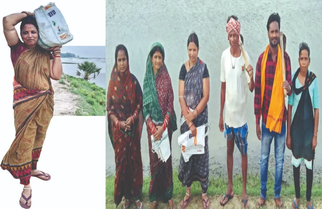  ପରିବେଶ ଯୋଦ୍ଧା: ତାଳବଣ ସୃଷ୍ଟିରେ ଉଦ୍ୟମରତା ଅମିତା