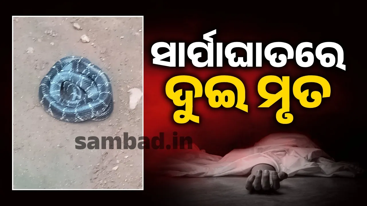  ସାର୍ପାଘାତରେ ଦୁଇ ମୃତ; ଜଣେ ଗୁରୁତର