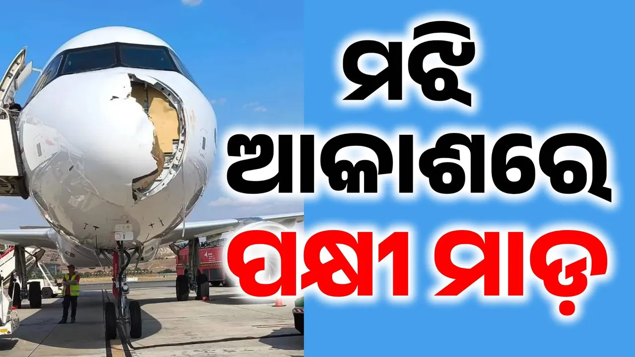  ମଝି ଆକାଶରେ ଆତଙ୍କ: ଉଡ଼ାଣର ୨୦ ମିନିଟ ଭିତରେ ବିମାନ କଲା ଜରୁରୀ ଅବତରଣ