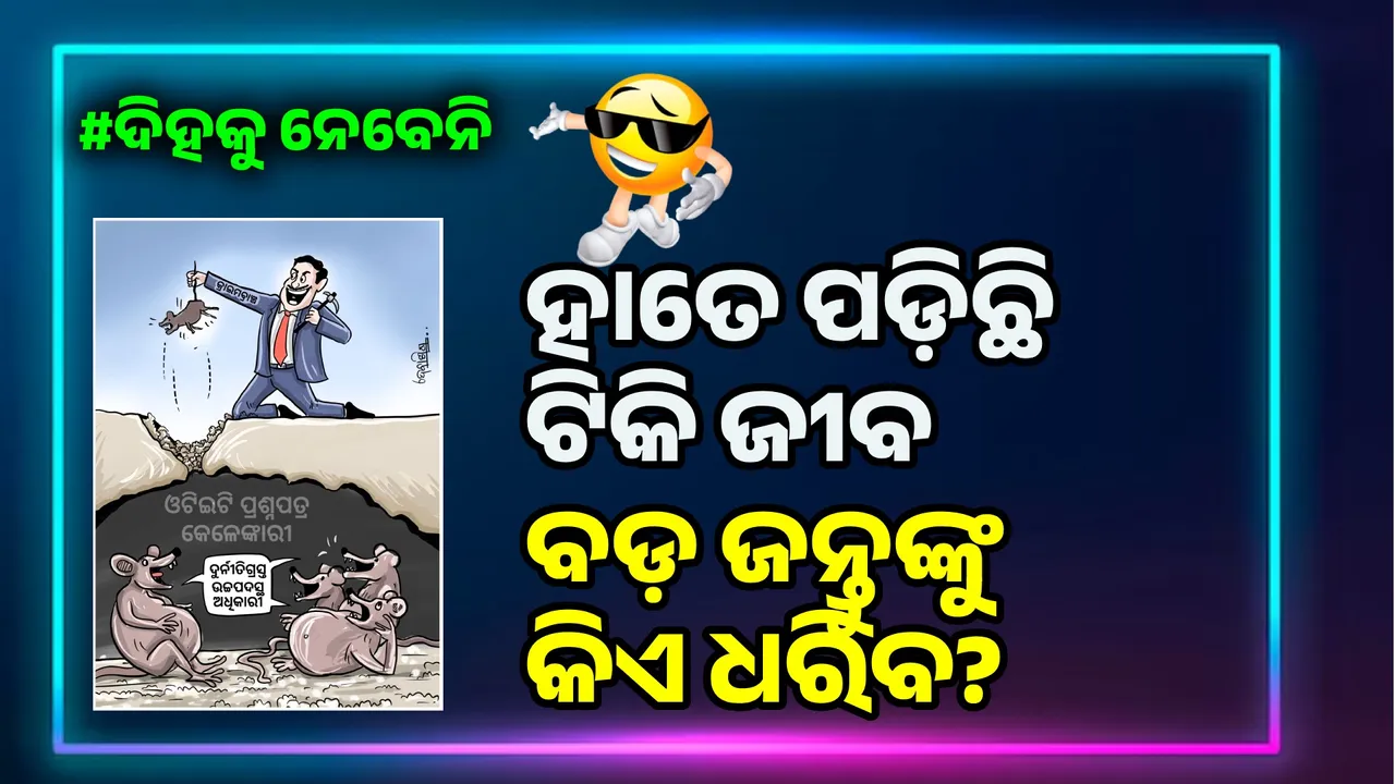  ଚୁଟିଆକୁ ଧରି ଏତିକି ଖୁସି; ବଡ଼ ମୂଷା ପଛେ ଯାଉତ ଖସି...!
