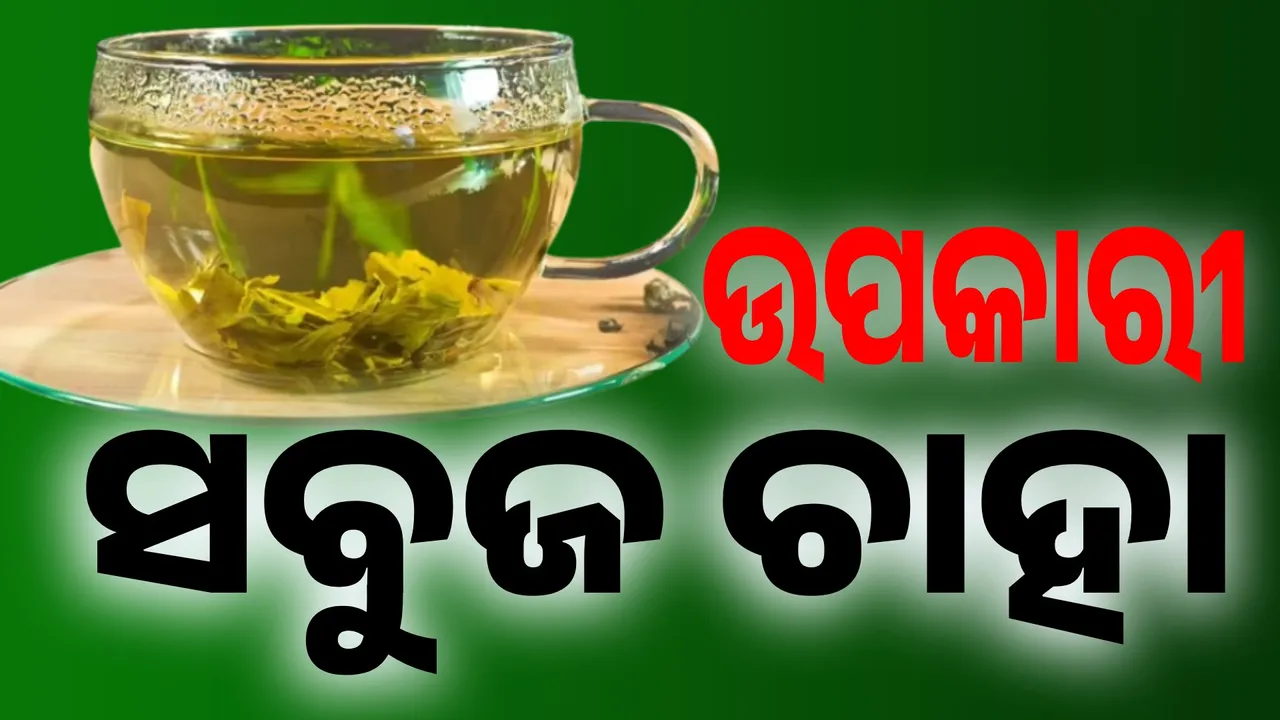  ଅନେକ ରୋଗ ଦୂର କରିପାରେ ସବୁଜ ଚାହା...