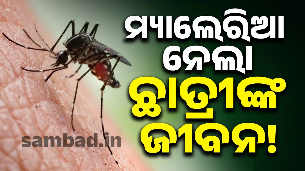  ମ୍ୟାଲେରିଆରେ ପୁଣି ଜଣେ ଛାତ୍ରୀଙ୍କ ମୃତ୍ୟୁ!