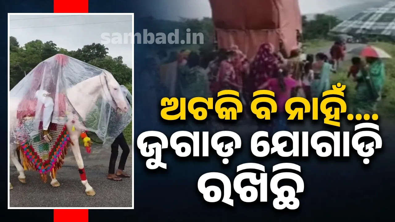  ବର୍ଷା ଦାଉରୁ ରକ୍ଷା ପାଇବା ପାଇଁ ଘୋଡା ସାଙ୍ଗରେ ନିଜକୁ ଘୋଡ଼ାଇ ଦେଇଛନ୍ତି ବର