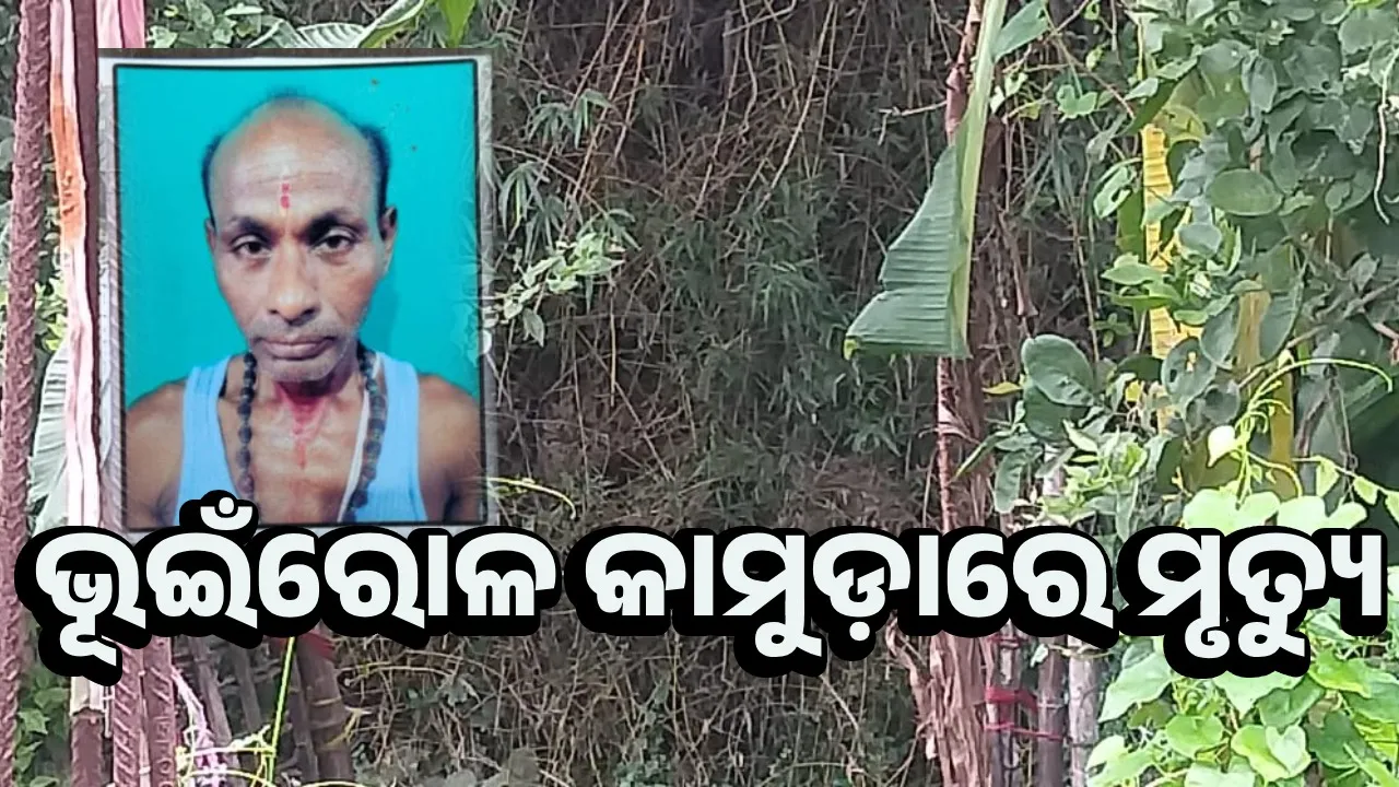  ଭୂଇଁରୋଳ କାମୁଡ଼ାରେ ବୃଦ୍ଧ ଲହୁଲୁହାଣ, ଡାକ୍ତରଖାନା ଯିବା ବାଟରେ ମୃତ୍ୟୁ