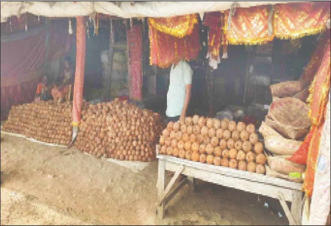  ଘଟଗାଁକୁ ଦୈନିକ ଲୋଡ଼ା ୨୦ ହଜାର ନଡ଼ିଆ: ମାନସିକଧାରୀଙ୍କୁ ବାଧୁଛି ଦର ବୃଦ୍ଧି