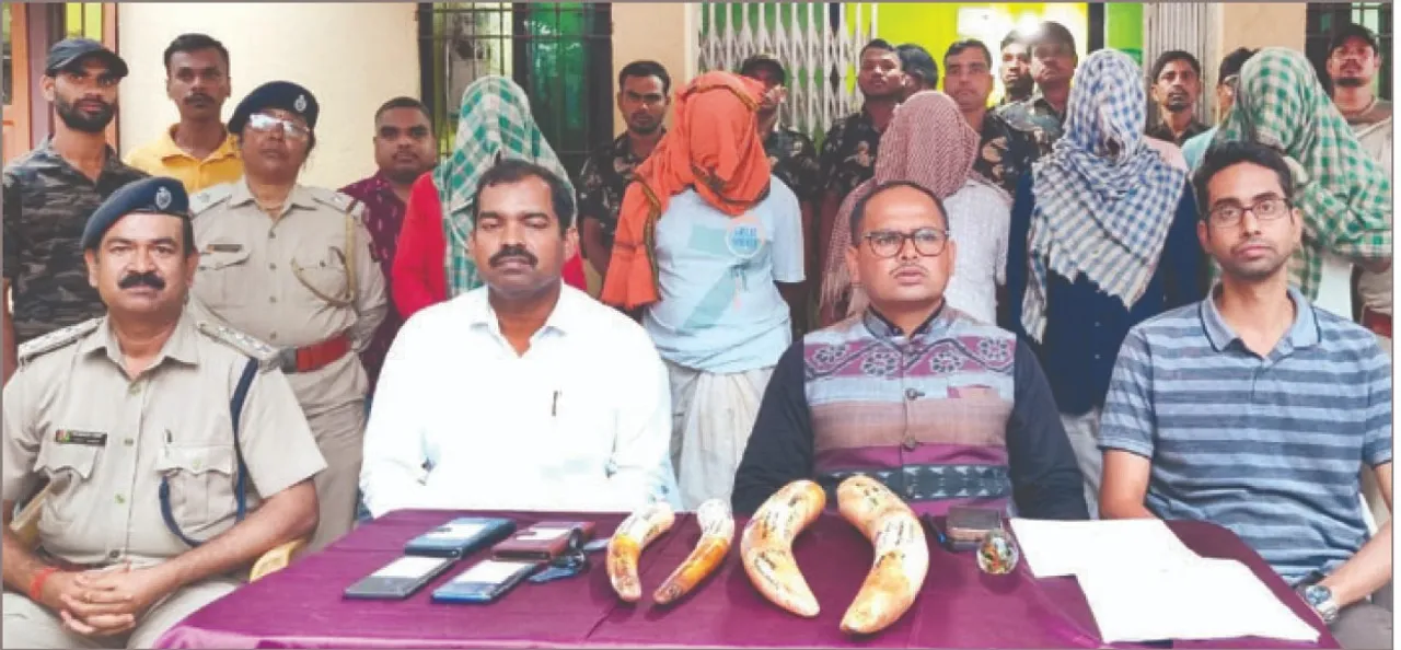  ୪ ହାତୀଦାନ୍ତ ଜବତ, ୫ ଗିରଫ