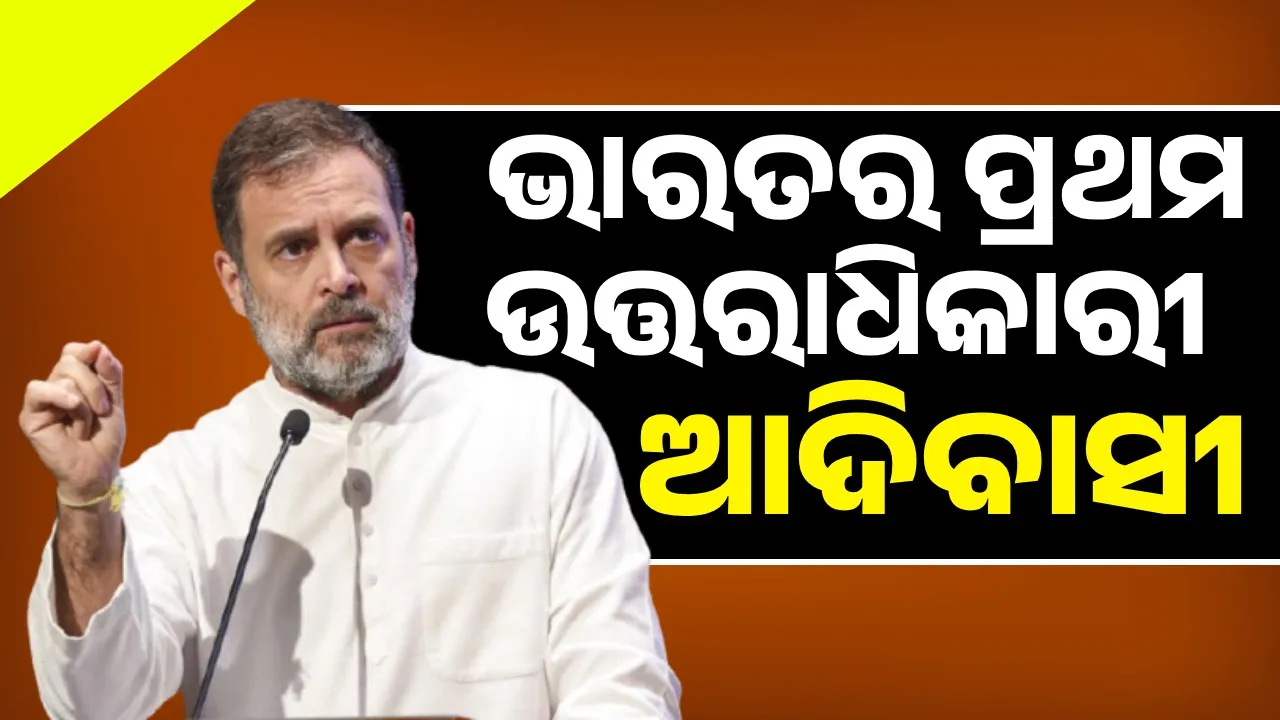 Tribals are the first heirs of India, Congress will fight for their rights: Rahul Photograph: (sambad.in) 