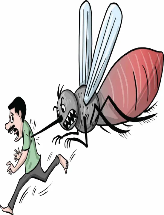  ଚନ୍ଦ୍ରଶେଖରପୁର ଅଞ୍ଚଳ ଡେଙ୍ଗୁ ‘ହଟ୍‌ସ୍ପଟ୍‌’