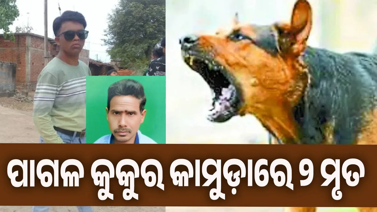  ପାଗଳ କୁକୁର କାମୁଡ଼ାରେ ୨ ଯୁବକ ମୃତ