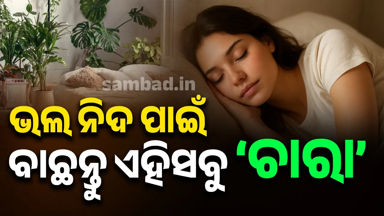  ଉତ୍ତମ ନିଦ ପାଇଁ ଲଗାନ୍ତୁ ଏହି ସବୁ ‘ବେଡ୍‌ରୁମ୍‌ ପ୍ଲାଣ୍ଟ୍‌’ !