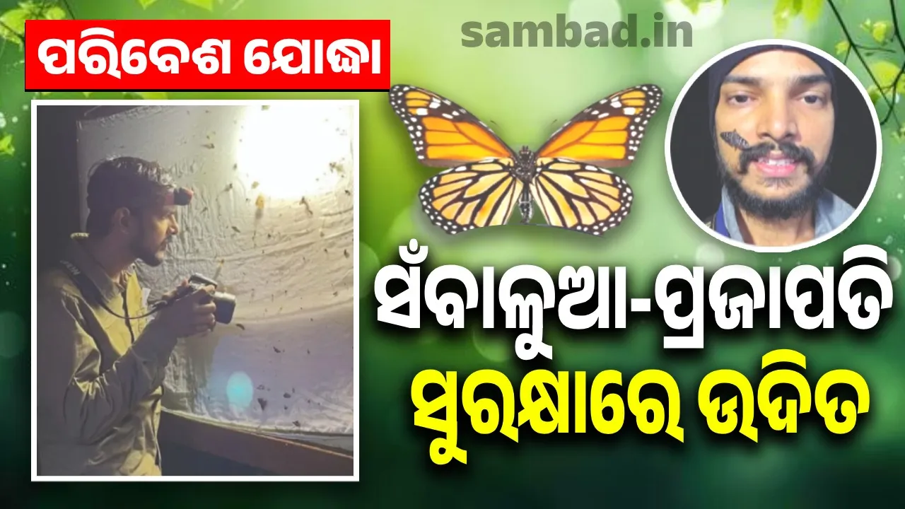  ପରିବେଶ ଯୋଦ୍ଧା: ସଁବାଳୁଆ-ପ୍ରଜାପତି ସୁରକ୍ଷାରେ ଉଦିତ
