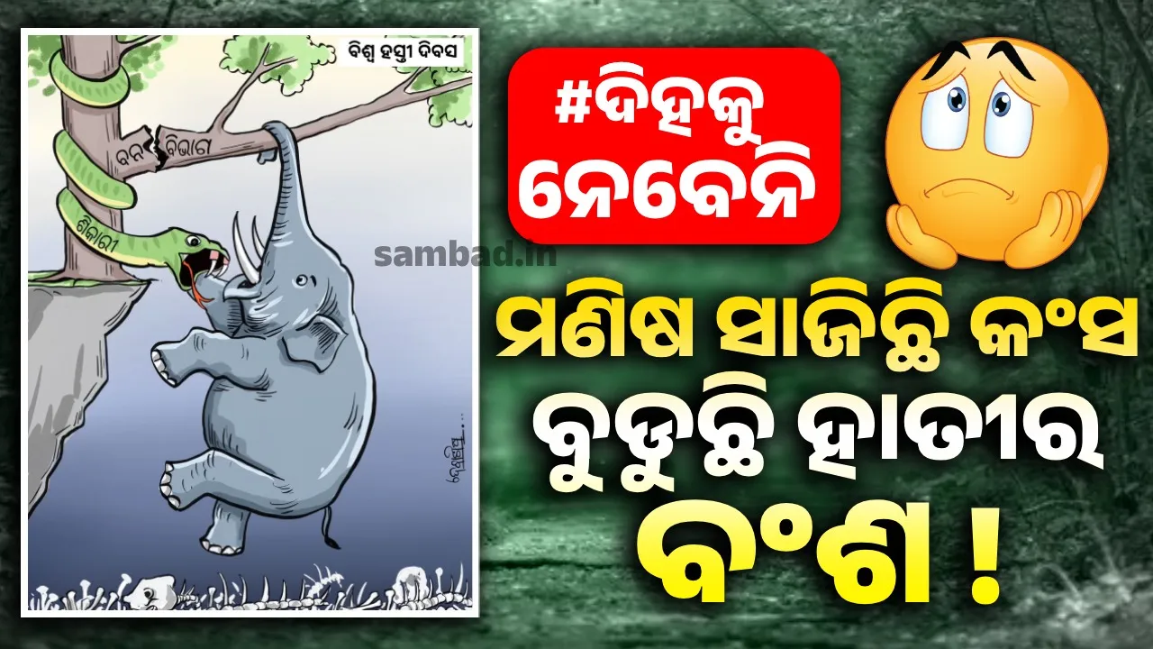  ହାତୀର ନହେଉ ଇତି ! ହାତୀଙ୍କ ସୁରକ୍ଷା ପାଇଁ ସଜାଗ ହୁଅନ୍ତୁ ସରକାର… ଏତିକି ଆମ ବିନତୀ…