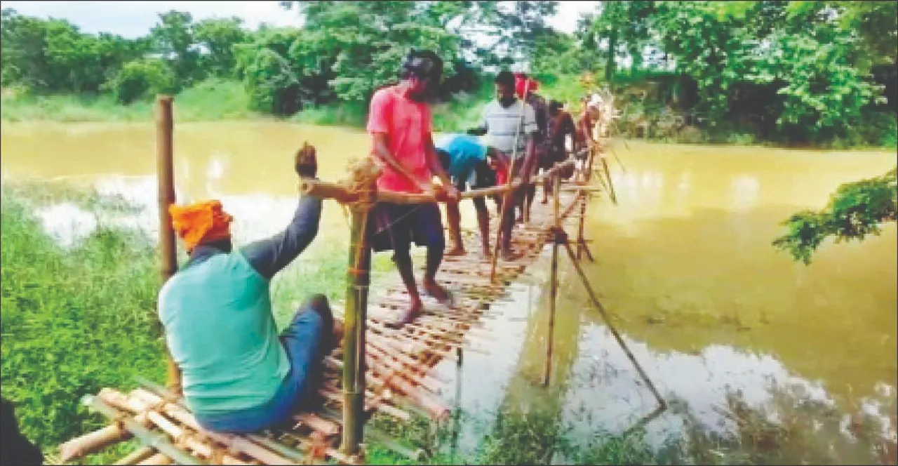  ନଦୀରେ ବାଉଁଶପୋଲ ତିଆରି କଲେ ଚାଷୀ