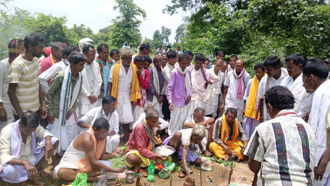  ମା’ ପାଟେନଙ୍କ ପୀଠରେ ଲାଗି ହେଲା ନବାନ୍ନ