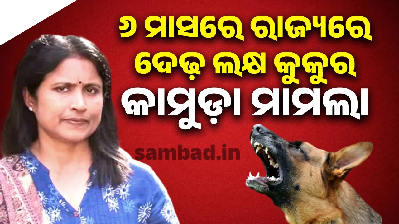  Dogs are people's friends, not all dogs bite people: Mayor Photograph: (sambad.in) 