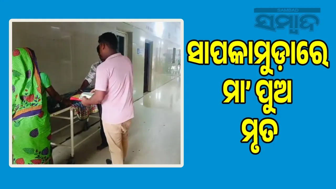  Mother and son lost their lives in Sapkamuda: Ambulance not available Photograph: (sambad.in) 