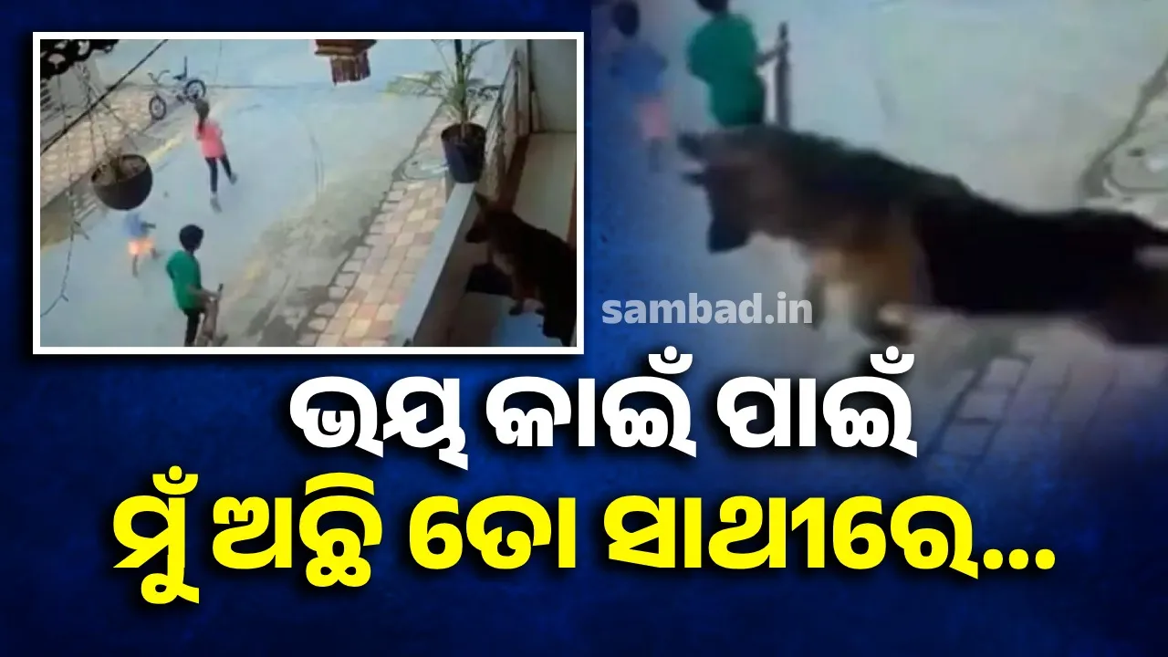  ମାଲିକଙ୍କ ଛୁଆକୁ ବଞ୍ଚାଇବା ପାଇଁ ବାଲକୋନିରୁ ତଳକୁ ଡେଇଁ ପଡ଼ିଲା ପୋଷାକୁକୁର