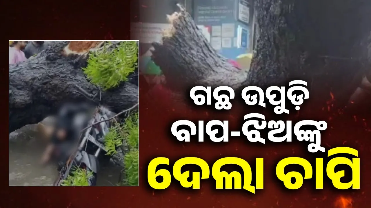  ବାଇକ ଯୋଗେ ଝିଅକୁ ଧରି ଯାଉଥିବା ବେଳେ ଉପୁଡ଼ି ପଡ଼ିଲା ଗଛ; ଘଟଣାସ୍ଥଳରେ ଉଡ଼ିଗଲା ବାପାଙ୍କ ପ୍ରାଣବାୟୁ