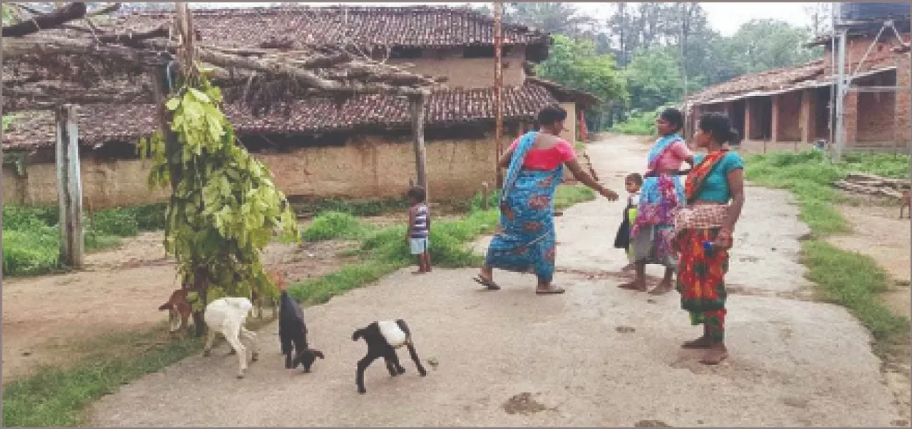  ସ୍ବାଧୀନତା ଖୋଜୁଛି ପାହାଡ଼ ତଳ ଗାଁ ‘କେନ୍ଦାଯୋର’