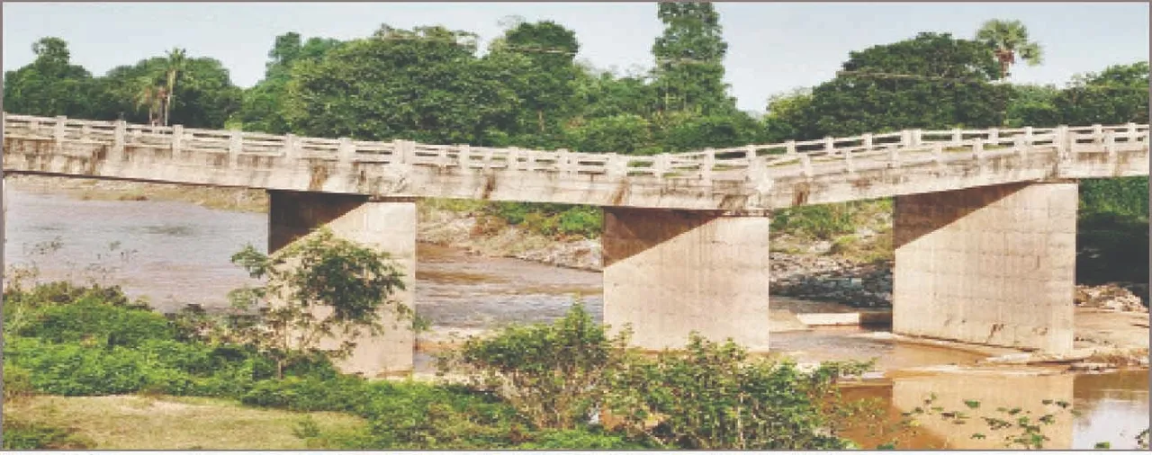  ଭଙ୍ଗା ହେବ ୧୦ ବର୍ଷର ବିଜୁ ସେତୁ