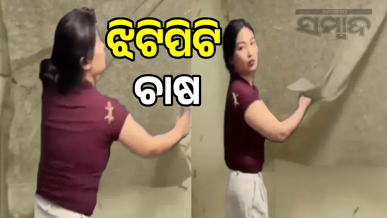  Beautiful young woman doing lizard farming at home: Video goes viral Photograph: (sambad.in) 