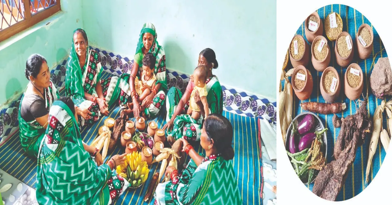  ଜଳବାୟୁ ସହନଶୀଳ ଫସଲ ଚାଷ ଦିଗରେ ମହିଳା ସାଜିଛନ୍ତି ଯୋଦ୍ଧା