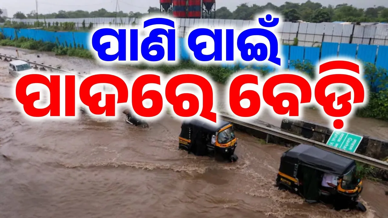  ମୁମ୍ବାଇରେ ବର୍ଷାର ମହାତାଣ୍ଡବ: ନଈ ପାଲଟିଛି ରାସ୍ତା, ଭାସୁଛି ସହର… ପ୍ରବଳ ବର୍ଷା ଯୋଗୁଁ ଚାଲିଗଲାଣି ୮ ଜୀବନ